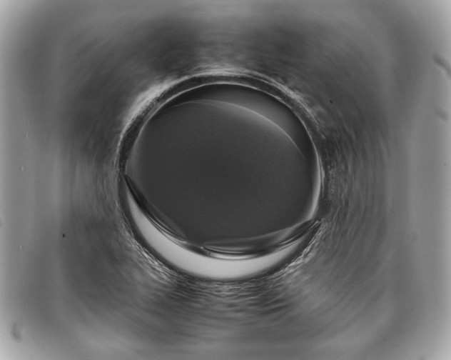 X0000098021319200804071343