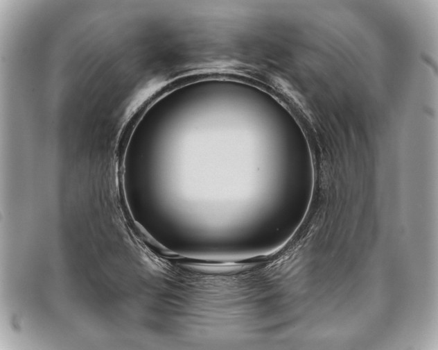 X0000098021320200804071343