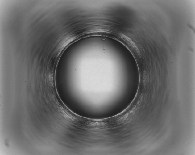 X0000098021321200804071343