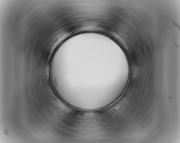 X0000098021322200804071343