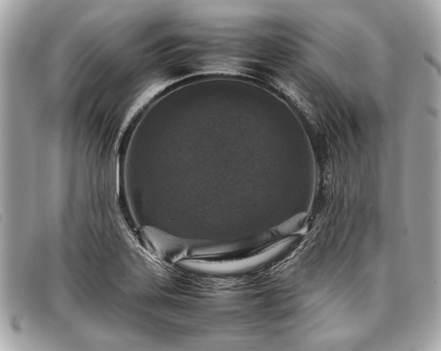 X0000098021323200804071343