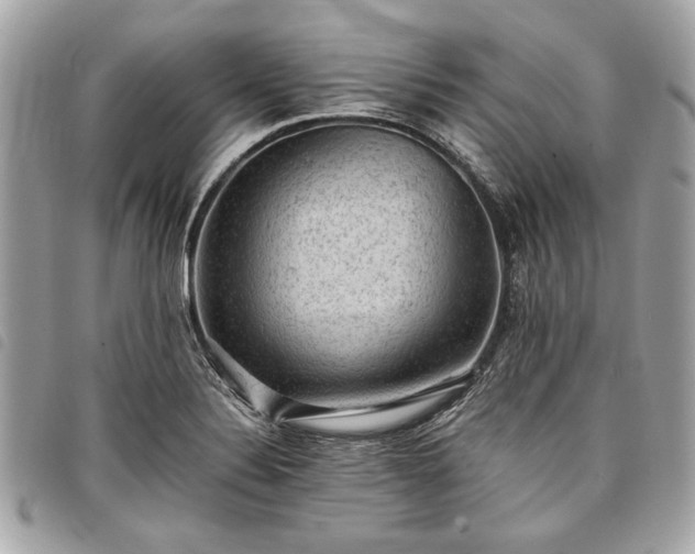 X0000098021324200804071343