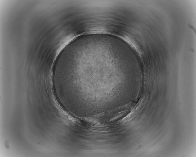 X0000098021325200804071344