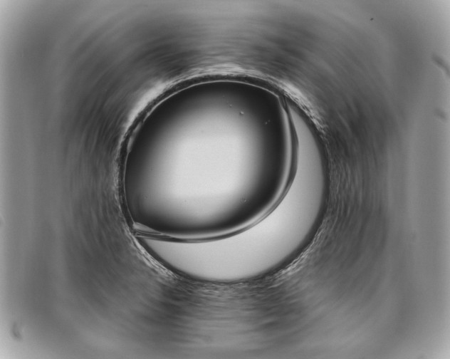 X0000098021326200804071344