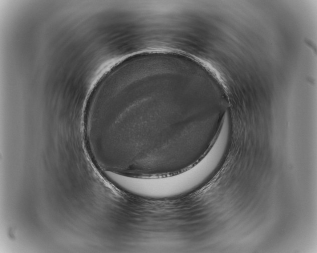 X0000098021327200804071344