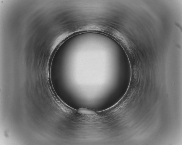 X0000098021328200804071344