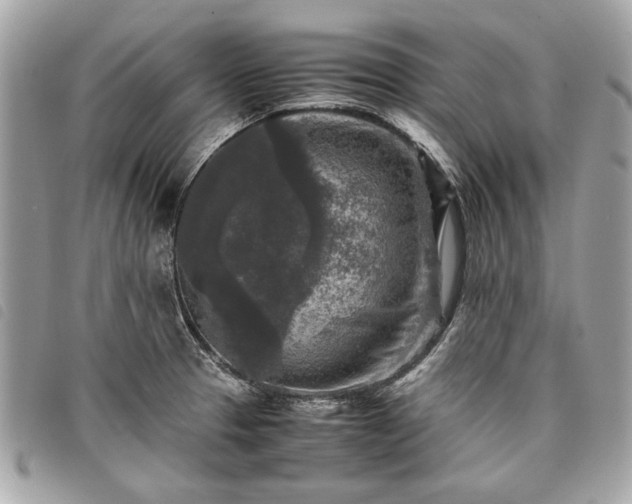 X0000098021329200804071344