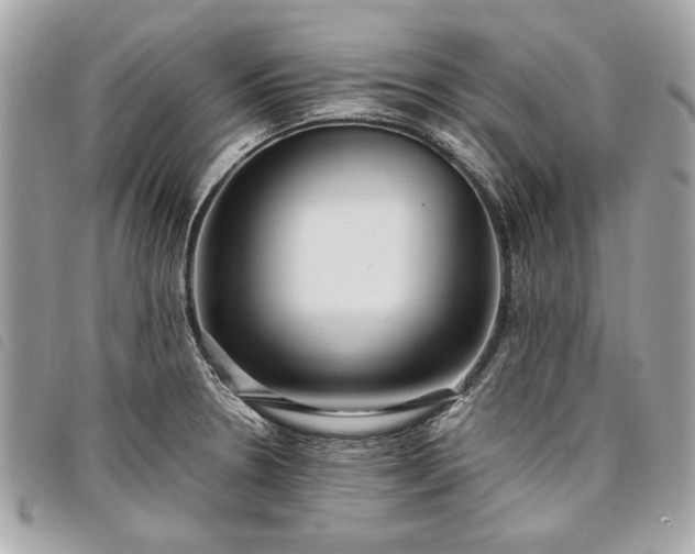 X0000098021330200804071344