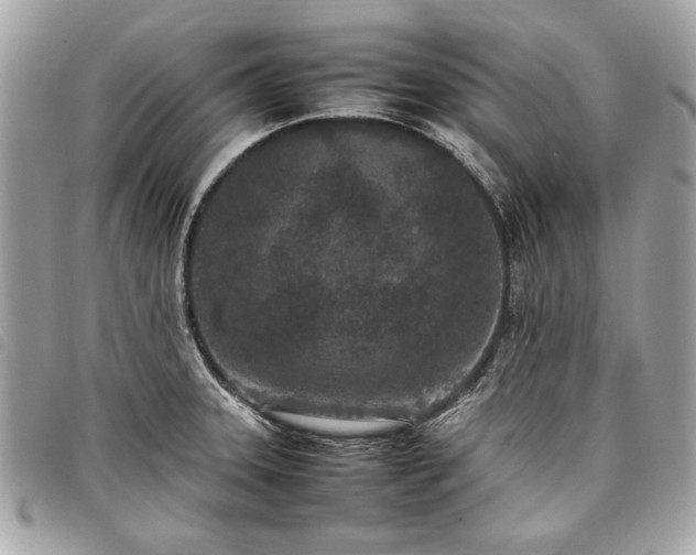 X0000098021331200804071344