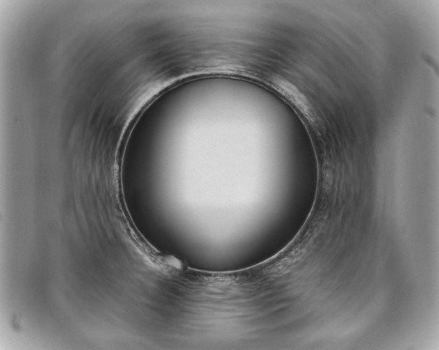 X0000098021332200804071344