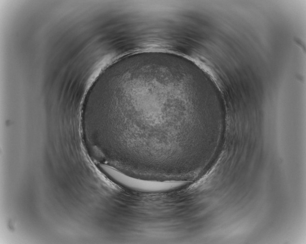 X0000098021333200804071344