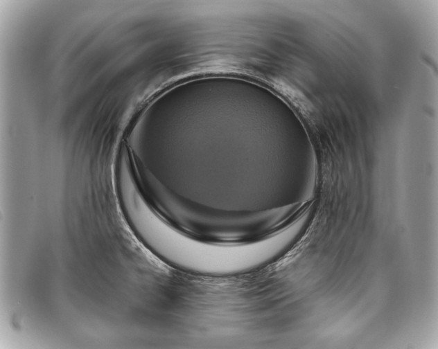 X0000098021334200804071344