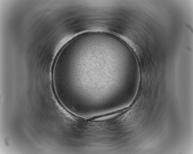 X0000098021335200804071344