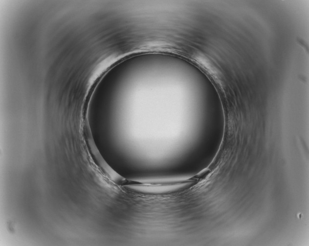 X0000098021336200804071344