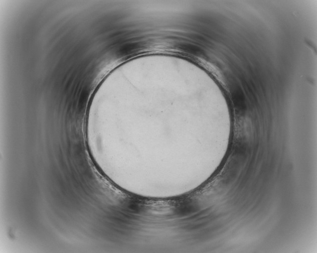 X0000098021338200804071344