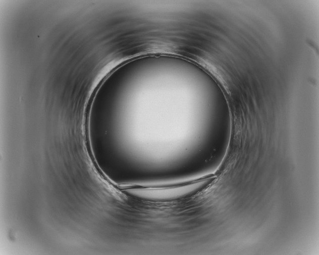 X0000098021339200804071344