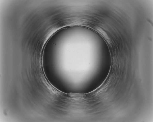 X0000098021340200804071344