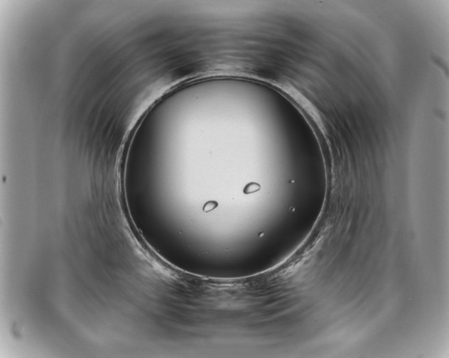 X0000098021341200804071344