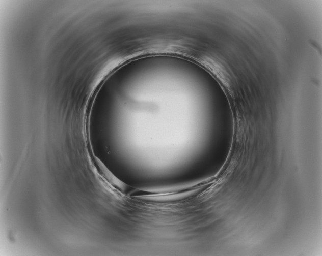 X0000098021342200804071344