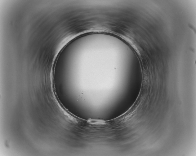 X0000098021343200804071344