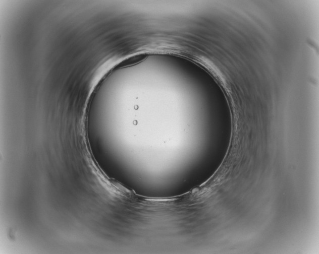 X0000098021344200804071344