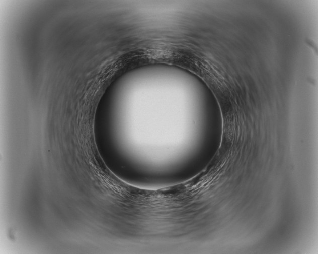 X0000098021345200804071343