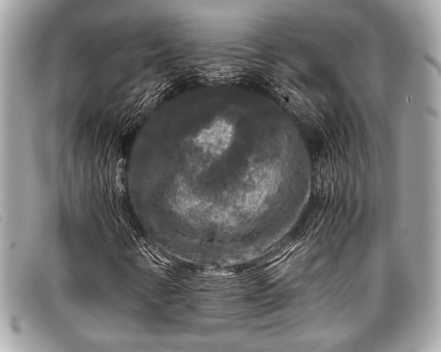 X0000098021346200804071343