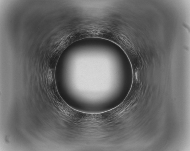 X0000098021347200804071343