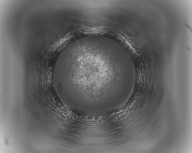 X0000098021350200804071343