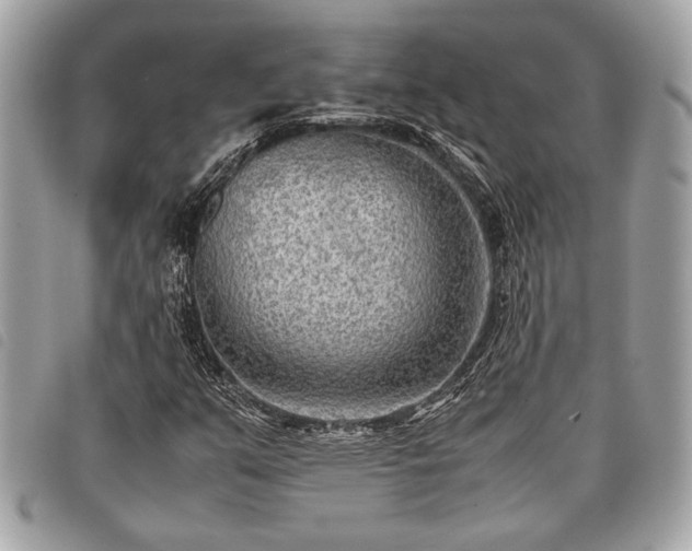 X0000098021351200804071343