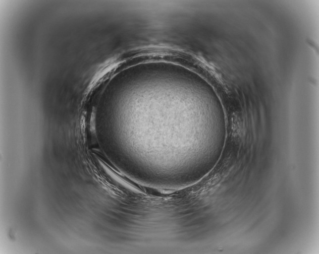 X0000098021352200804071343