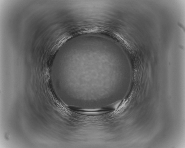 X0000098021353200804071343