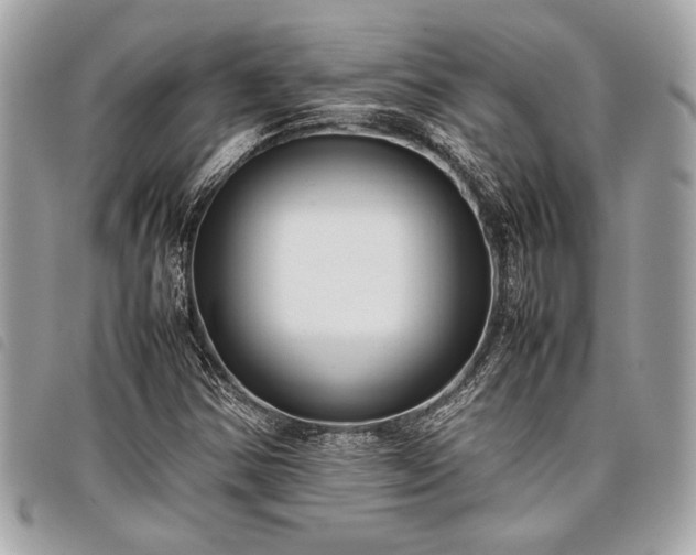 X0000098021354200804071343