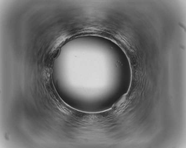 X0000098021355200804071343