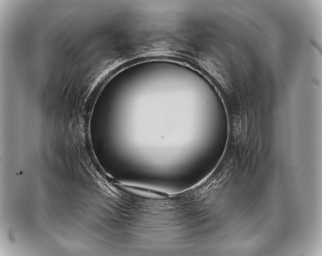 X0000098021356200804071343