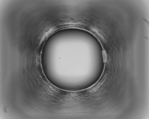 X0000098021357200804071343