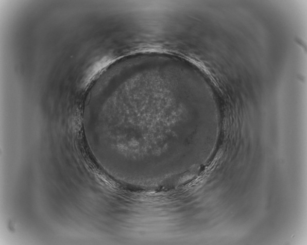 X0000098021359200804071343