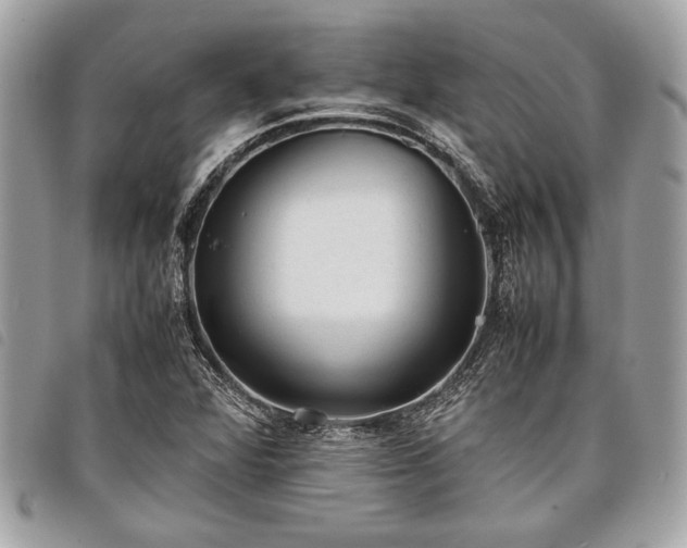 X0000098021360200804071343