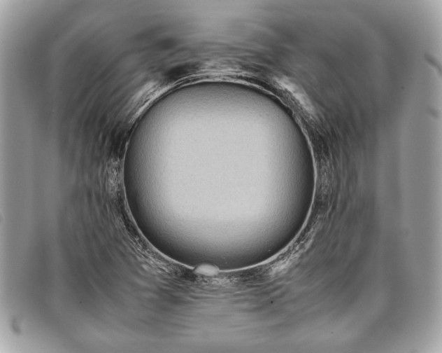 X0000098021361200804071343