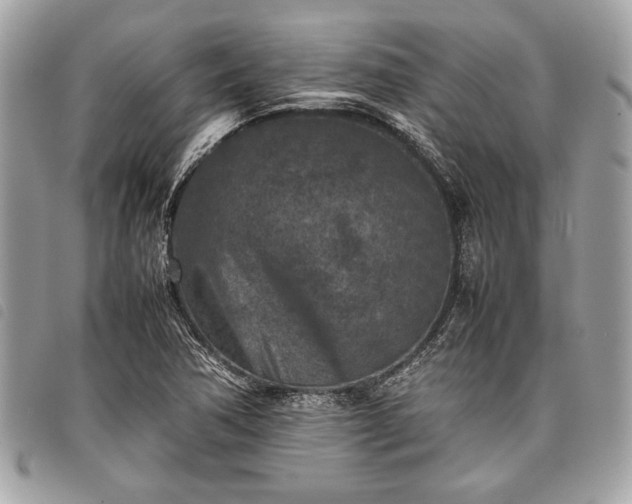 X0000098021362200804071343