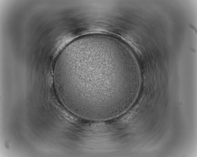 X0000098021363200804071343