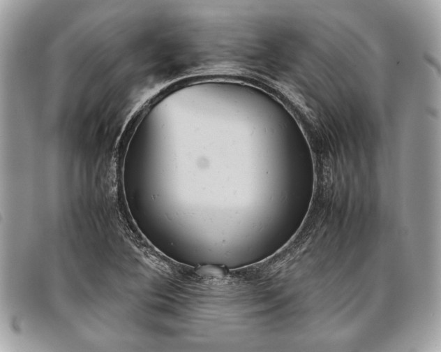 X0000098021364200804071343