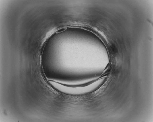 X0000098021365200804071343