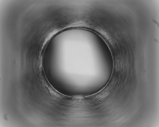 X0000098021366200804071343