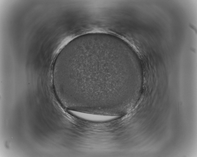 X0000098021367200804071343