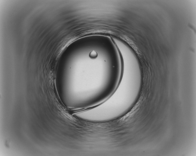 X0000098021369200804071343