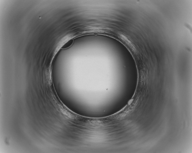 X0000098021370200804071343