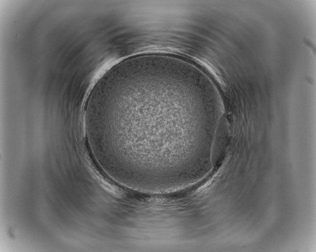 X0000098021371200804071343