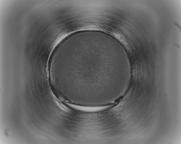 X0000098021372200804071343