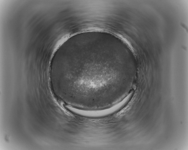 X0000098021373200804071343